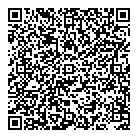 V U Nics Inc QR Card