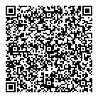 Daleo Motor Sales QR Card