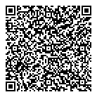 P  A Plastics Inc QR Card