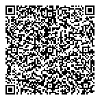 Ace Silver Coin Amusements QR Card