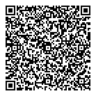 Icpei Holdings Inc QR Card