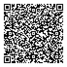 Ldmg Inc QR Card