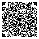 Mnp LLP QR Card