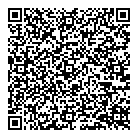 Skyway Fine Cars QR Card