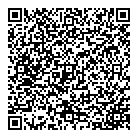 Toivis Alexander Dds QR Card