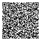 Comic 1 Books QR Card