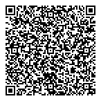 Lemmer Spray Systems Ltd QR Card