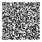 D L B Electric Inc QR Card