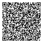 D-Zine Construction Servs QR Card