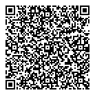 Shadow Auto Dealer QR Card