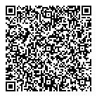 Pronto Consulting QR Card