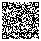 Stone Age QR Card