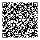 Dsi QR Card