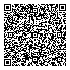 Vsp Investments Inc QR Card