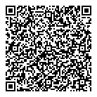 Plv Systems Inc QR Card