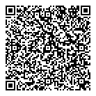 Solo Small Motors Ltd QR Card