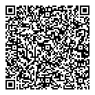 Town Taxi QR Card