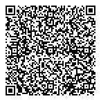 Mississauga North Baseball QR Card