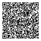 A1 Nova Electric QR Card