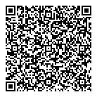 Christmas Light Co QR Card