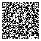 Pech Consulting QR Card