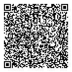 Lexsan Electric Ltd QR Card