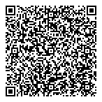 Satistar Consulting QR Card