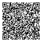 Emtech Consulting QR Card