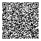 Demesa Inc QR Card