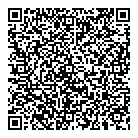 Dsm Aluminum Ltd QR Card