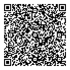 Kgo Group Ltd QR Card