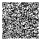 Api Alarm Inc QR Card