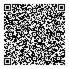 Discovery Toy QR Card