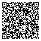 Moore Ford Dds QR Card