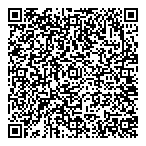 Paceas Technologies Ltd QR Card