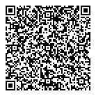 Process Pumps Inc QR Card