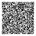 Erinmills Limousine  Luxury QR Card