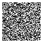 Blue Sky Decorating Ltd QR Card