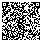 Naizil Inc QR Card