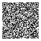 Battick Consulting QR Card