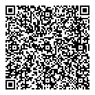 Software Strategies QR Card