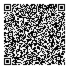 Punnen P C Dr QR Card