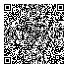 P2i Strategies QR Card