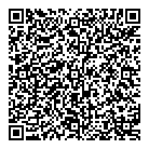 Link-Pipe Inc QR Card