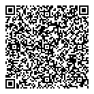 T  N Automotive QR Card