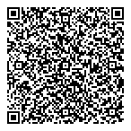 Demosretail Consulting QR Card