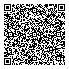 Mr Electric QR Card