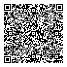 Aurora Generators QR Card