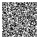 Rave On Custom Effects QR Card