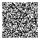 Mvs Solutions Inc QR Card